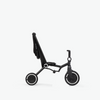 Wonder max trike