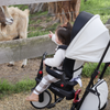 6-in-1 STR7 Stroller Trike