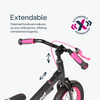 Xtend Bike