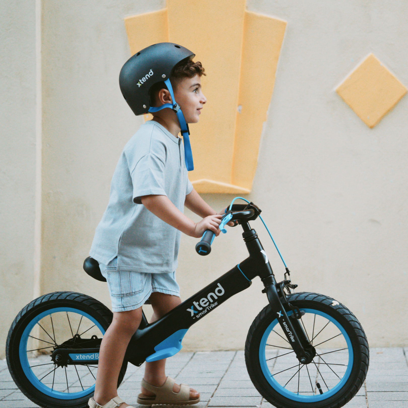 Xtend Bike