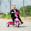 4-in-1 Breeze Plus Toddler Tricycle