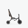 Wonder max trike